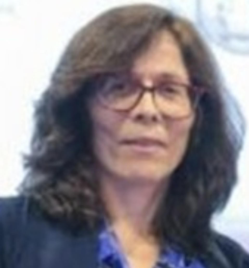 Marleide da Mota Gomes
